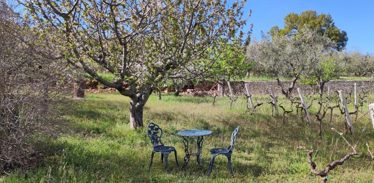 Il Vigneto Sole&Luna Con Piscina Privata مارتينا فرانكا المظهر الخارجي الصورة